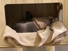 -巴拉吉·SPA·按摩养生馆