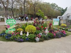 -盈香心动乐园