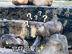 -灵玲国际马戏城