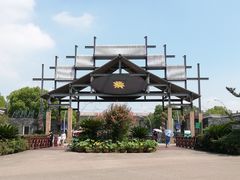 -荷塘月色湿地公园·向阳花洲