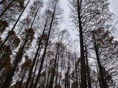 -山王坪喀斯特国家生态公园
