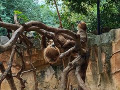 -杭州野生动物世界
