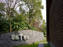 -美丽洲堂