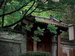 -深圳国际园林花卉博览园