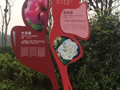 -天府芙蓉园