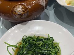 -沪碟·精菜坊(闵行店)