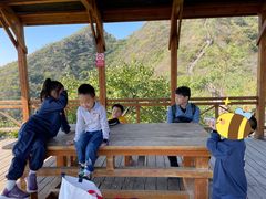 -大岭沟猕猴桃谷风景区