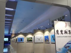 -大连市规划展示中心