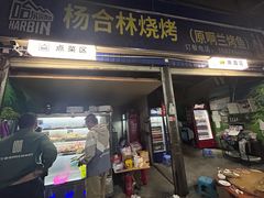 -杨合林啊兰烤鱼