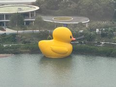 -深圳湾公园(南山区)