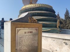 -洛阳白马寺