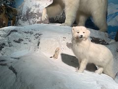 -浙江自然博物院(杭州馆)