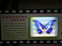 -上海昆虫博物馆