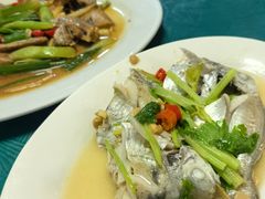 -桂园白粥·潮汕老味道
