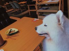 -黎阳老街