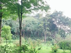-云溪植物园