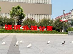 -海河外滩公园