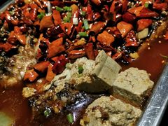 麻辣豆花烤鱼-喵探烤鱼·活鱼烤(北唐总店)