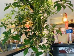 -Joymean coffee.见面咖啡