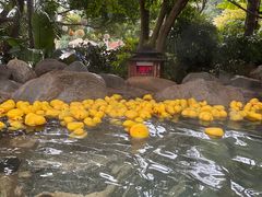 -湖泉半山温泉