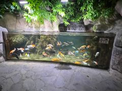 -南昌海洋公园