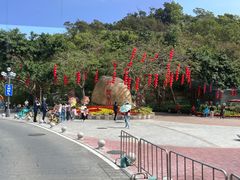 -野狸岛