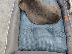 -严国平动物医院(德政总院)