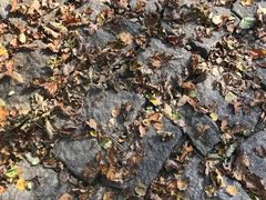 -哈尔滨北方森林动物园