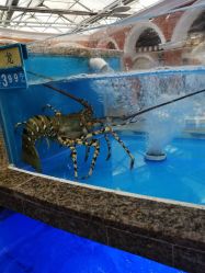 点击看大图 -特味村·宴会厅(生态园店)