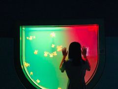 -福州罗源湾海洋世界旅游区