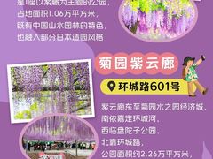 -嘉定紫藤园