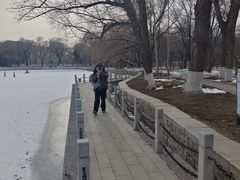 -北陵公园