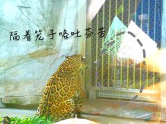 -广州动物园