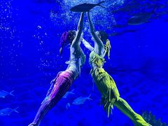 -海合安武汉极地海洋公园