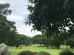 -东莞植物园