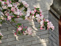 -北京鲁迅博物馆(北京新文化运动纪念馆鲁博馆区)