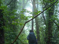 -南京市无想山景区