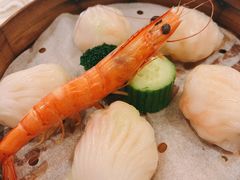 和苑招牌虾饺-和苑·精致粤菜(珠江新城店)