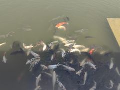 -吉姆冒险世界(蓟州店)