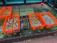-天天海鲜城·海鲜大排档(新溪店)