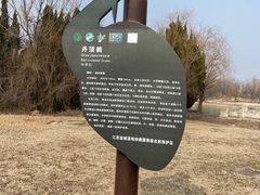 -盐城丹顶鹤湿地生态旅游区