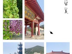 -龙口南山旅游景区