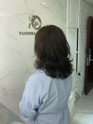-潘多拉Hairsalon