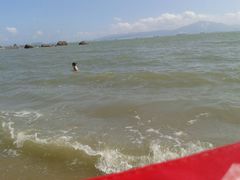 android_upload_pic-白城沙滩