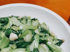 -全乐鱼馆·淳牌有机鱼直营店