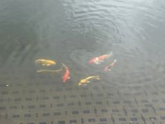 -桃花岭景区