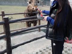 -西安秦岭野生动物园