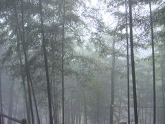 -藏龙百瀑风景区