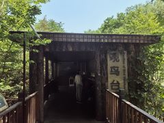 -北京麋鹿生态实验中心