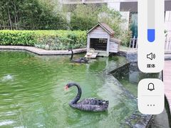 -行者书屋大堂吧 ·下午茶(南京圣和府邸酒店)